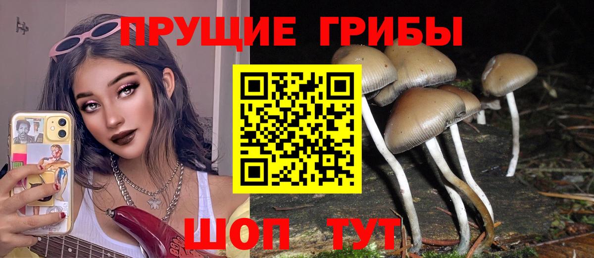 где найти наркотики  Псилоцибиновые грибы ЛСД  Вход с VPN  Янаул 