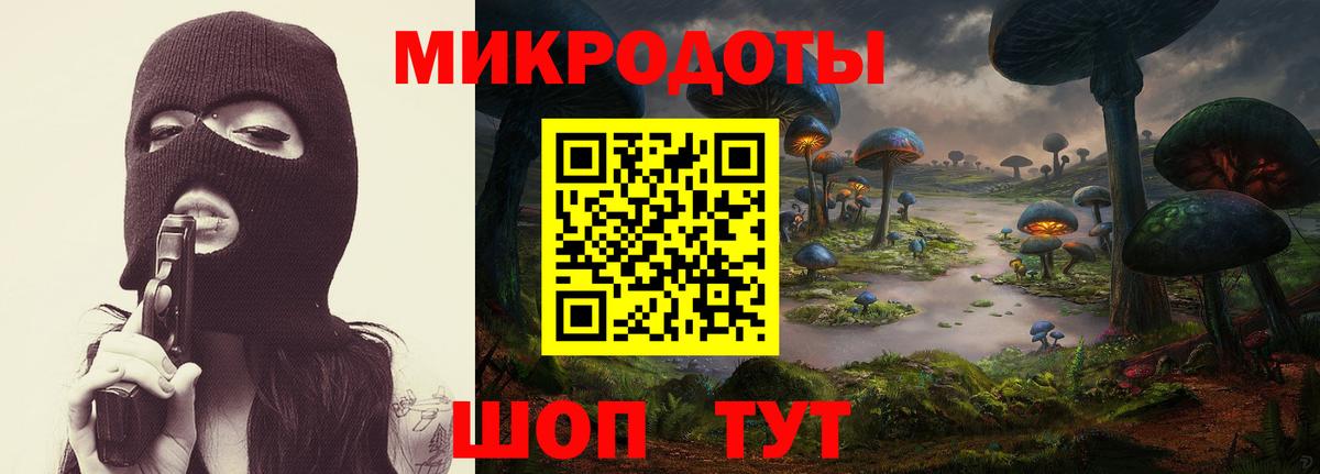 Галлюциногенные грибы Psilocybe Янаул
